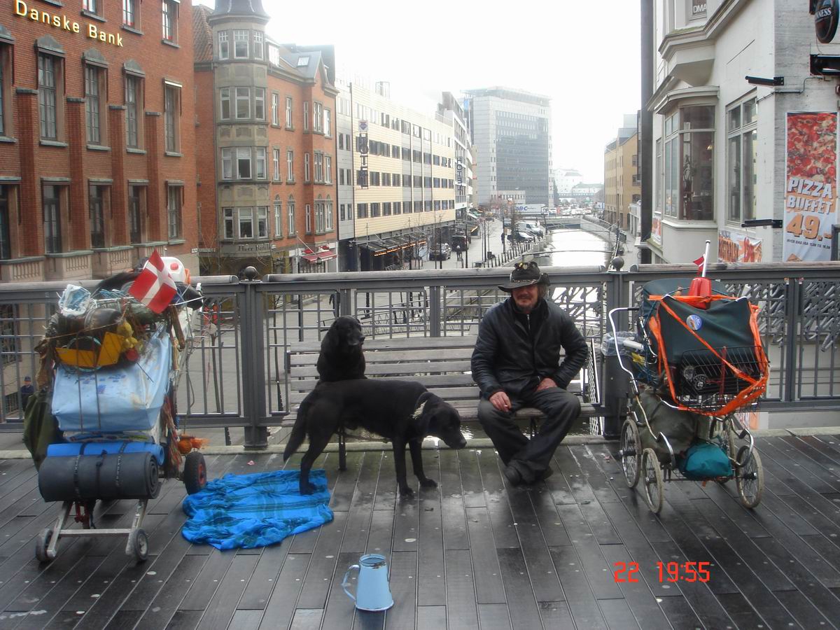 1200x900, 197 Kb / бродяга, собаки