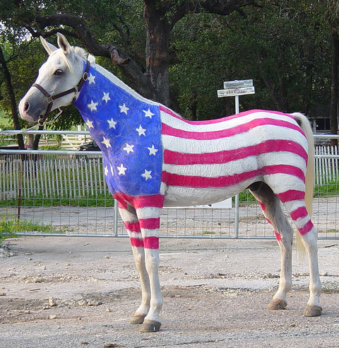 480x492, 179 Kb / лошадь, флаг