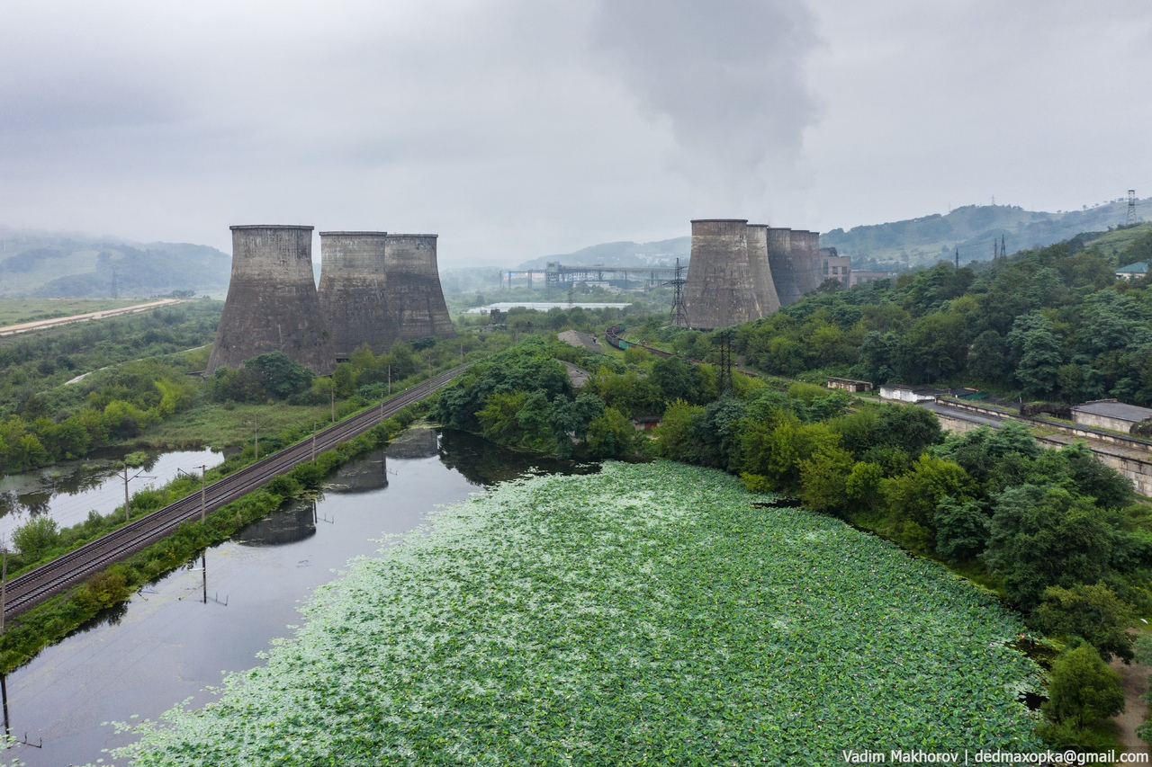 1280x853, 537 Kb / Новосибирск, ТЭЦ, градирня, дорога, озеро, цветы