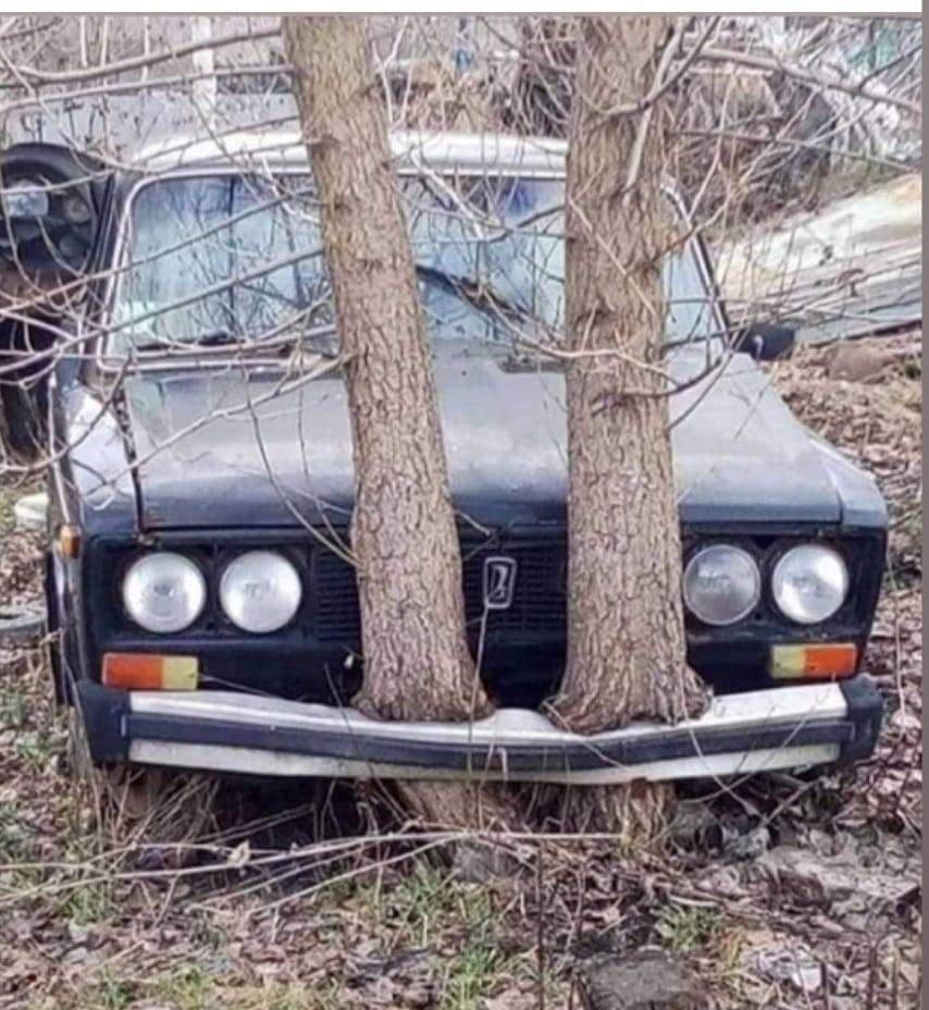 854x928, 117 Kb / дерево, вросло, бампер, ваз