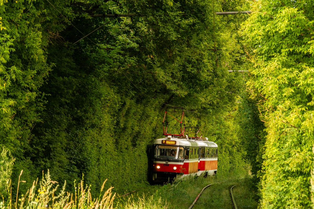 1200x800, 280 Kb / трамвай, Нижний Новгород, заросли, деревья