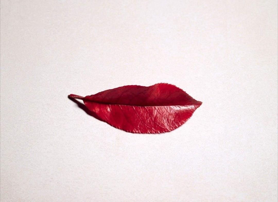 1080x783, 71 Kb / лист, улыбка