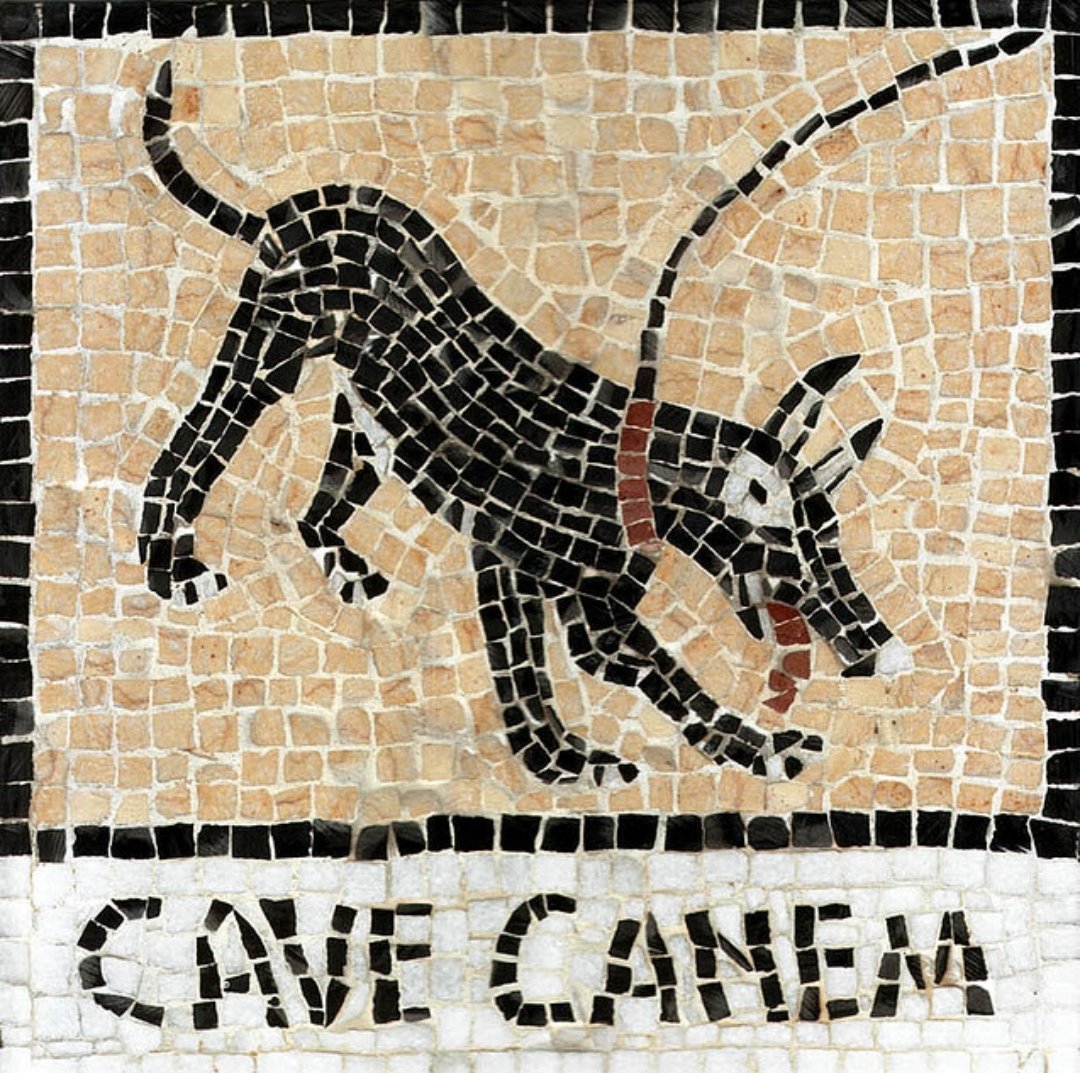 1080x1073, 278 Kb / собака, мозаика, ахтунг, римляне