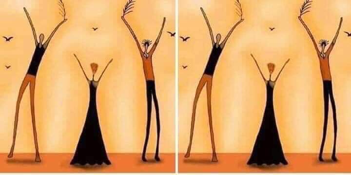 720x359, 20 Kb / Люди, птицы, иллюзии