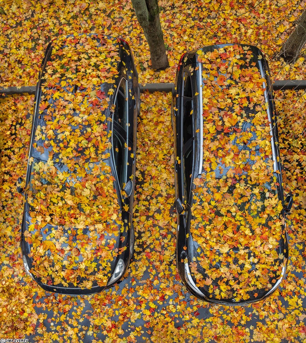 1027x1150, 559 Kb / автомобиль, пора, осень, листва