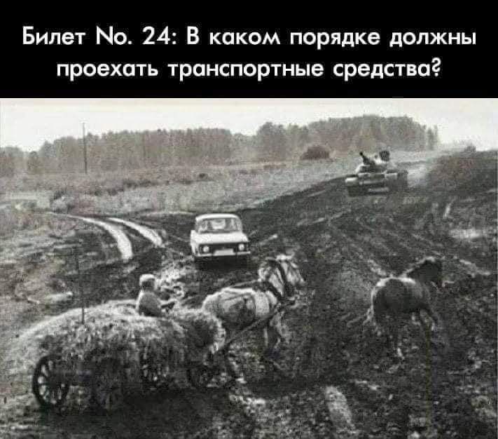 711x626, 54 Kb / автомобиль, москвич, танк, лошадь, конь, телега, пдд, правила, билет