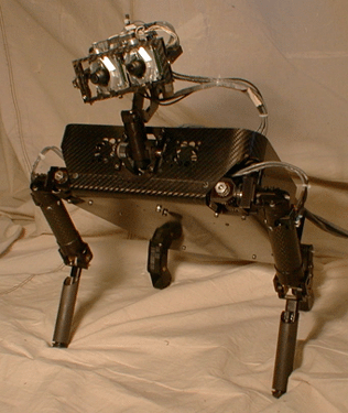 316x375, 90 Kb / робот, писька