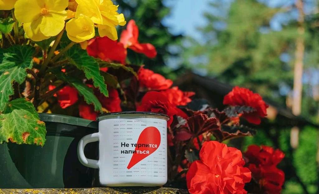 1024x623, 72 Kb / кружка, цветы