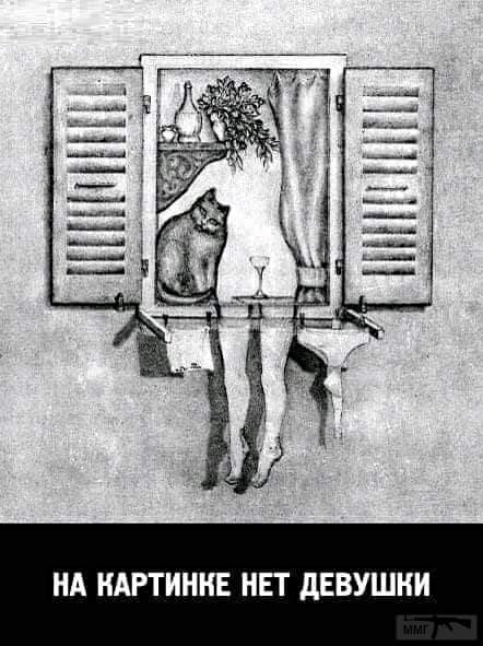 442x591, 97 Kb / ч/б, показалось, колготки, кот, кошка, окно, ставни, трусы, белье, веревка