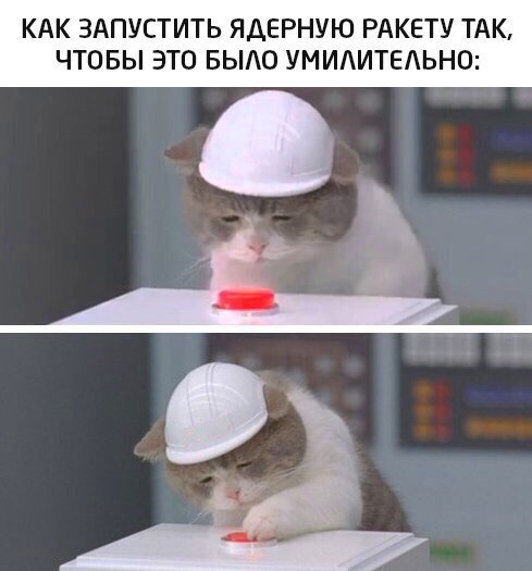 489x525, 37 Kb / кот, кошка, каска, кнопка, ракета