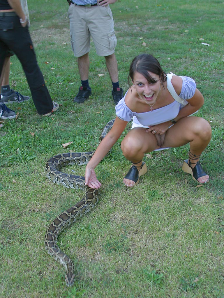 769x1024, 191 Kb / змея