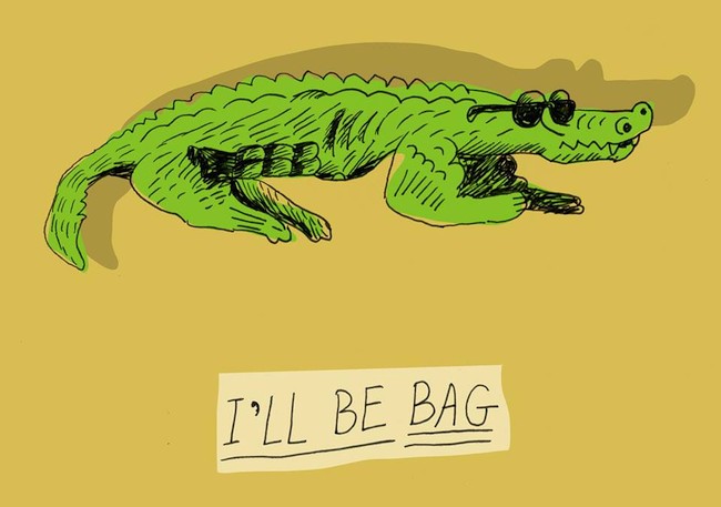 650x457, 45 Kb / Сумка, крокодил, терминатор, очки