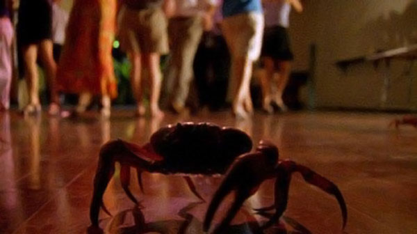 600x336, 34 Kb / краб