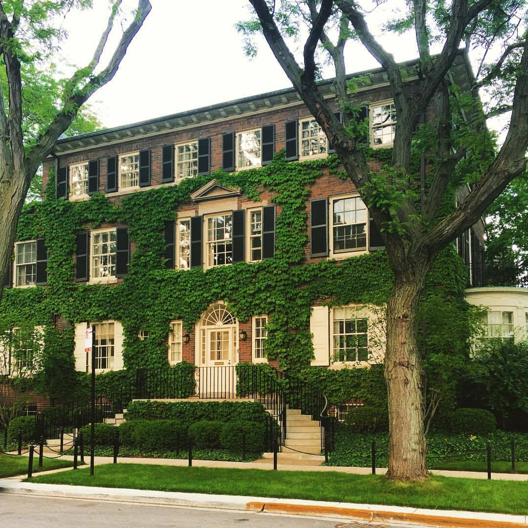 1080x1080, 205 Kb / дом, дерево, плющ, вьюн, заросли, зелень