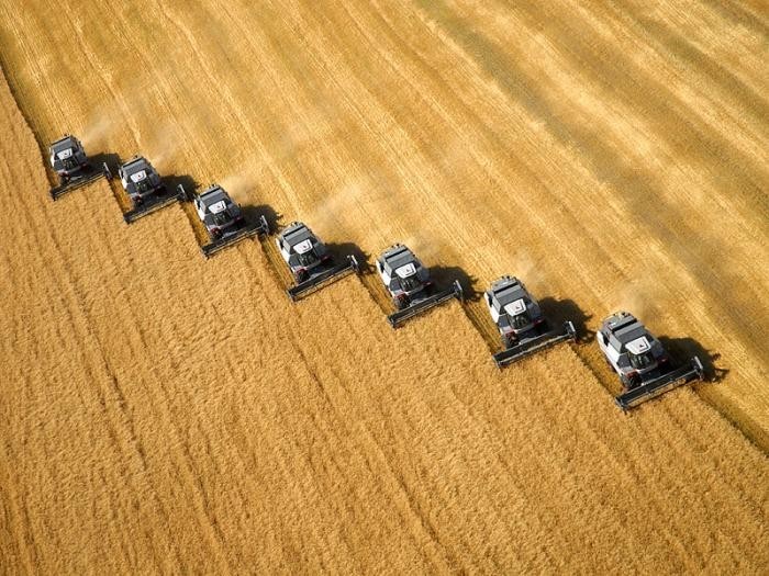 700x525, 103 Kb / поле, комбайны