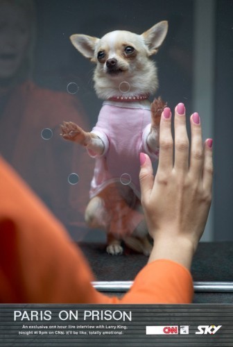 336x500, 32 Kb / пэрис, перис, тюрьма, шавка, розовый