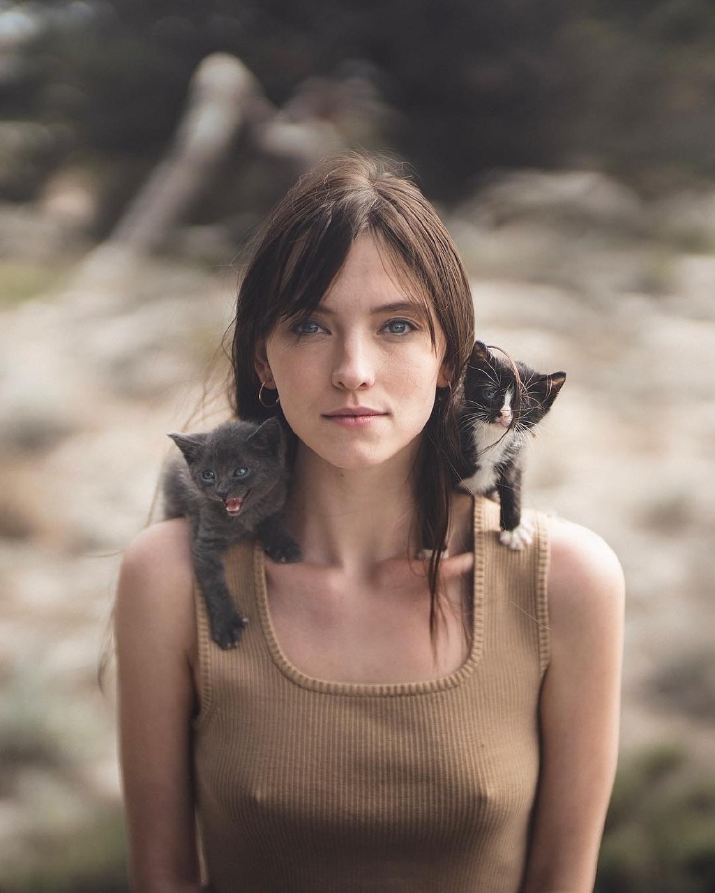 1025x1280, 150 Kb / Котята, двое, майка, соски