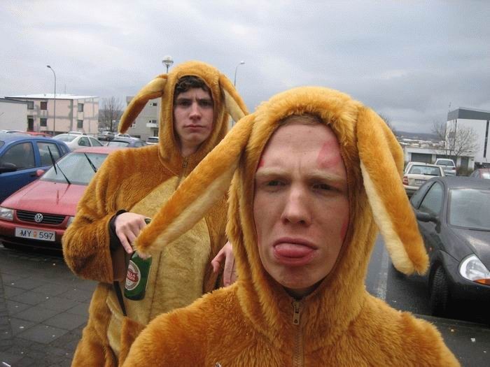 700x525, 67 Kb / зайки