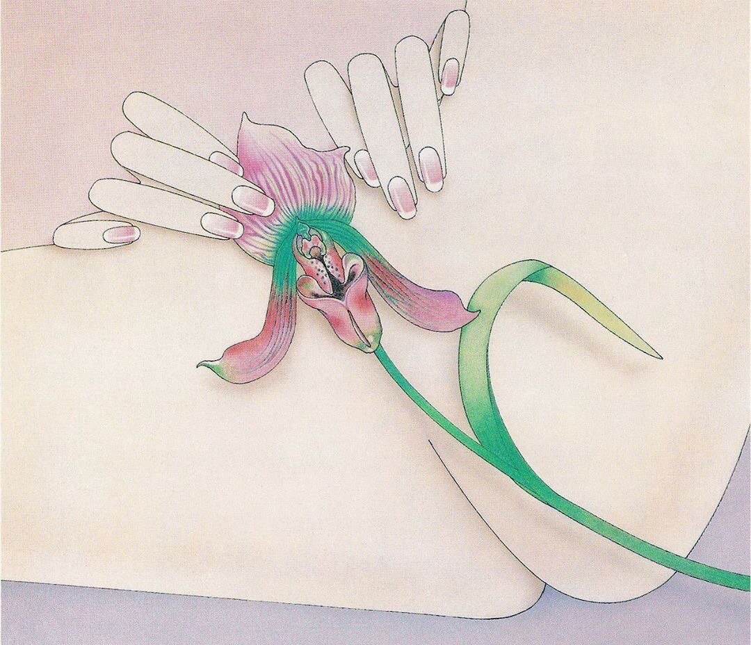 1080x928, 211 Kb / цветок, орхидея