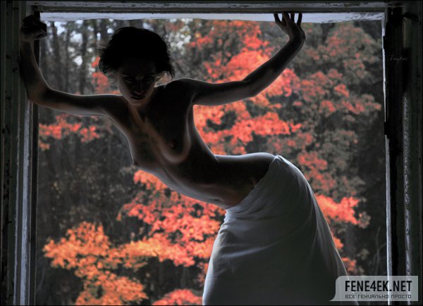 600x435, 54 Kb / изгиб