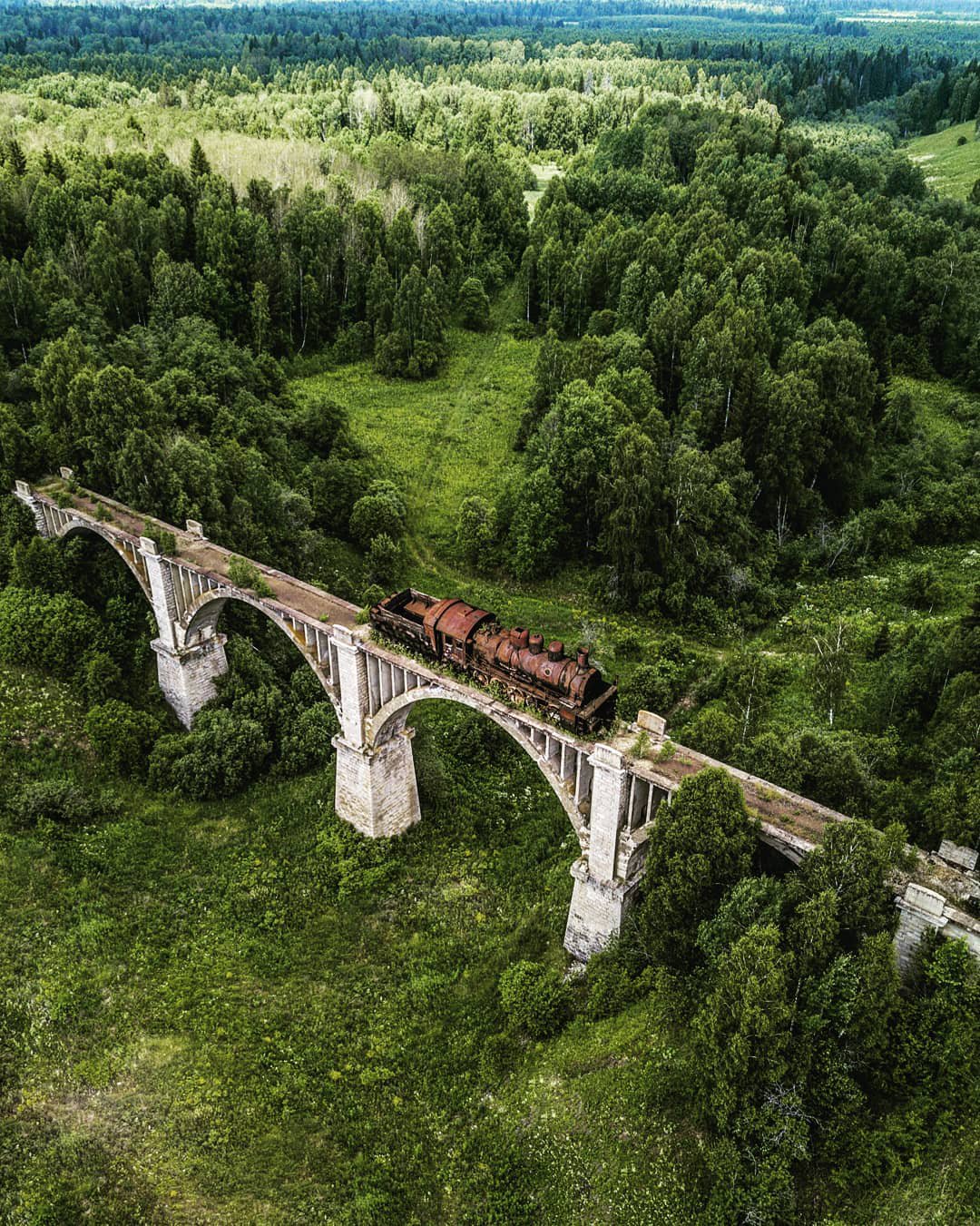 1080x1351, 433 Kb / мост, паровоз, лес, деревья