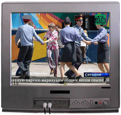 420x397, 39 Kb / марихуана, милиция, телевизор
