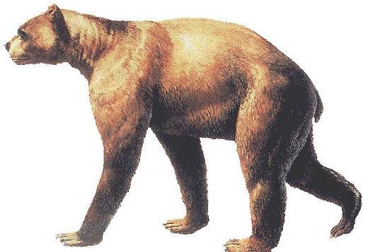 520x357, 35 Kb / Арктодус, исчезнувшие, животные