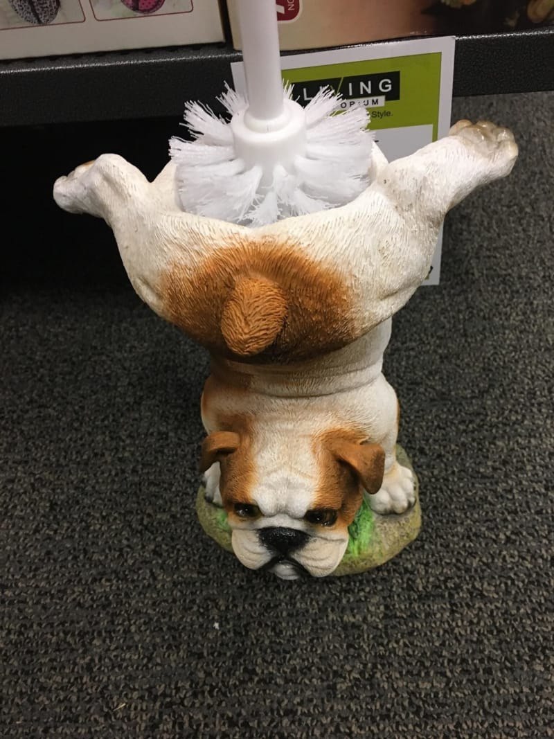 800x1067, 143 Kb / Собака, щётка, ёршик