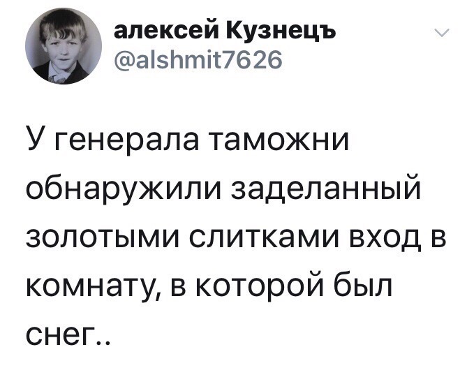 669x527, 62 Kb / генерал, таможня, золото, снег, комната, слиток