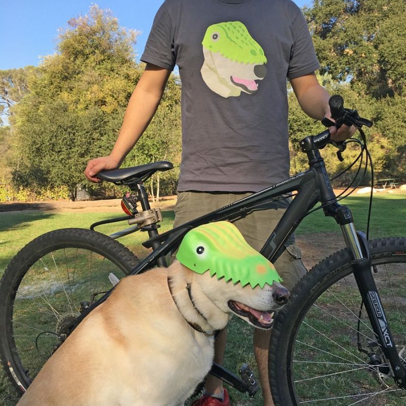 800x800, 140 Kb / маска, собака, велосипед, крокодил