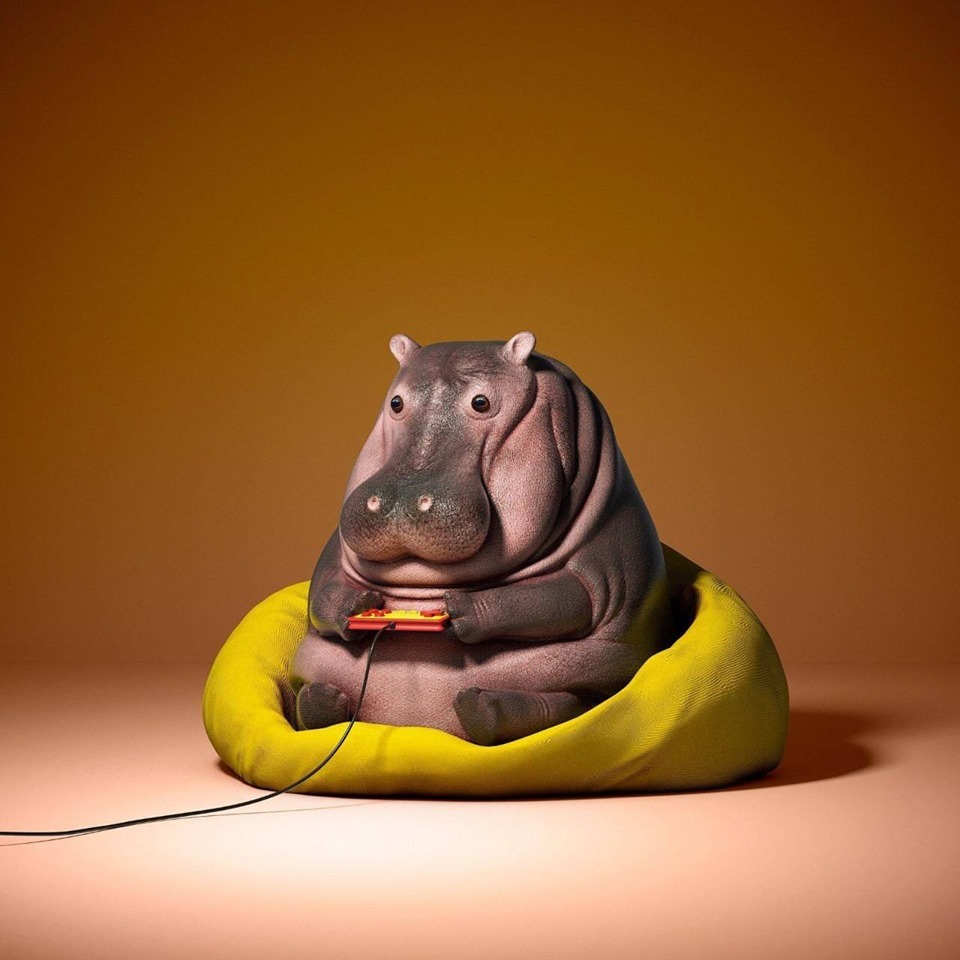 960x960, 132 Kb / бегемот, пуф, приставка, джойстик