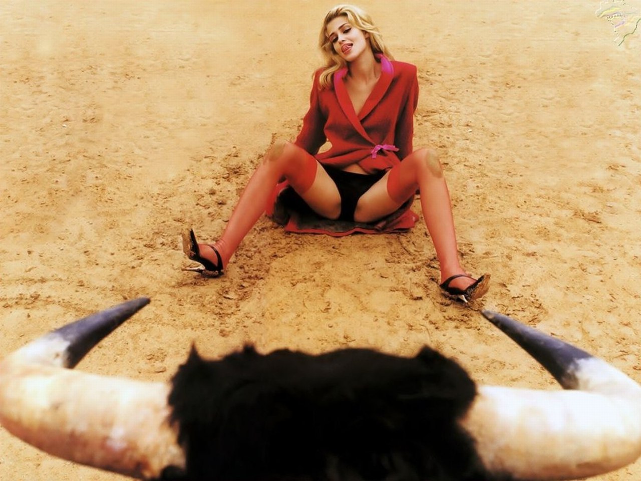 1280x960, 189 Kb / бык, рога, песок, коррида, блондинка, язык, ноги, дразнится