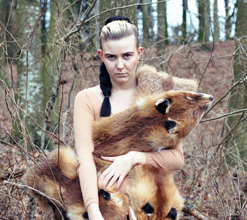 500x445, 472 Kb / девка, лиса, шкура, взгляд