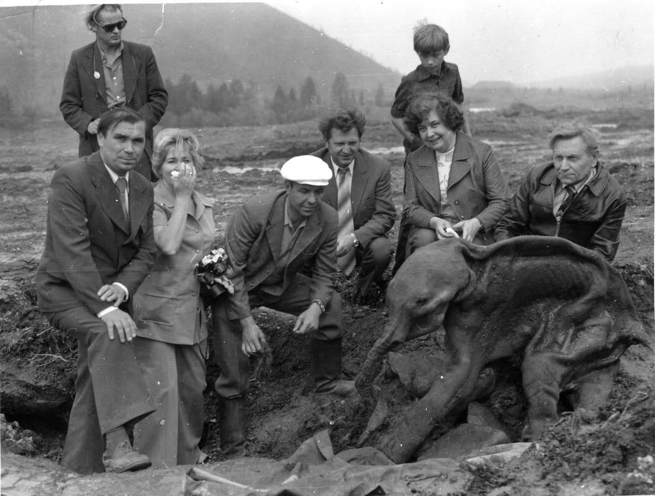 1280x970, 156 Kb / мамонтёнок, Дима, копатели, ч/б