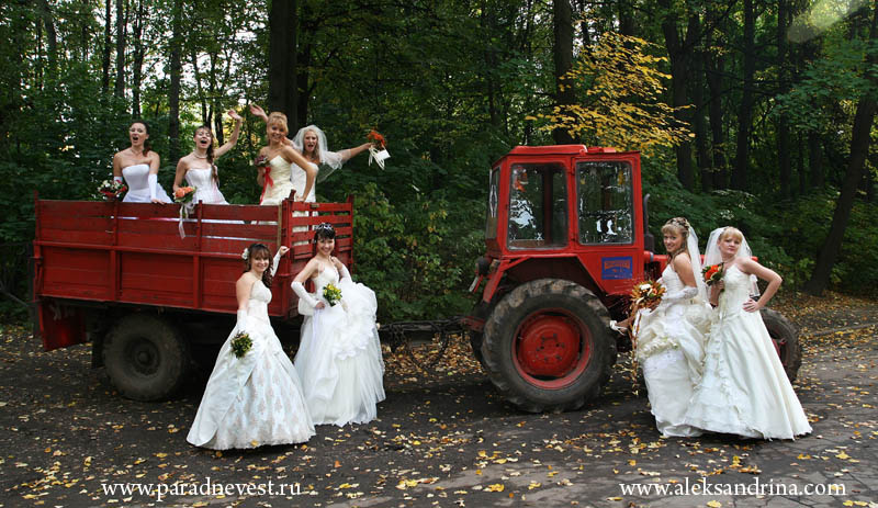 800x463, 139 Kb / невесты, трактор