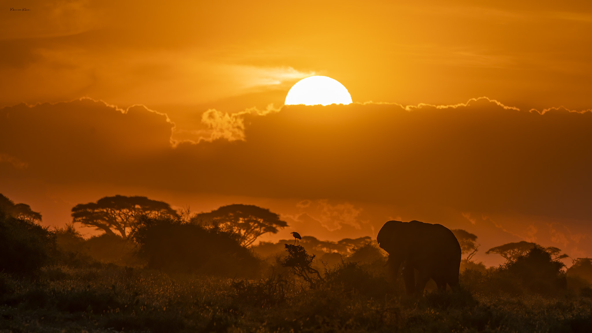 2048x1152, 203 Kb / саванна, солнце, слон, облака