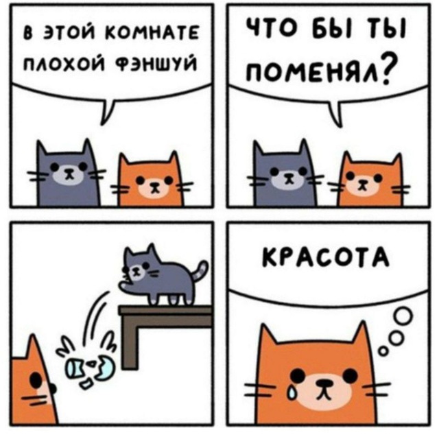 640x640, 81 Kb / Кошки, фэншуй