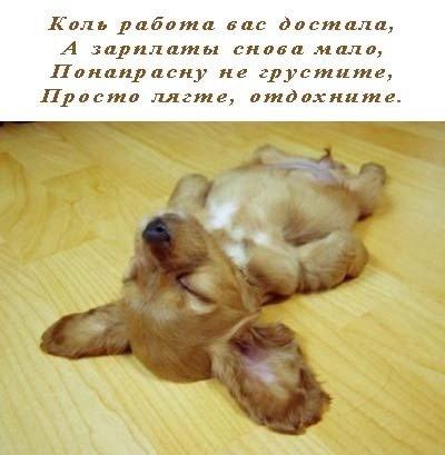 400x409, 24 Kb / работа, щенок