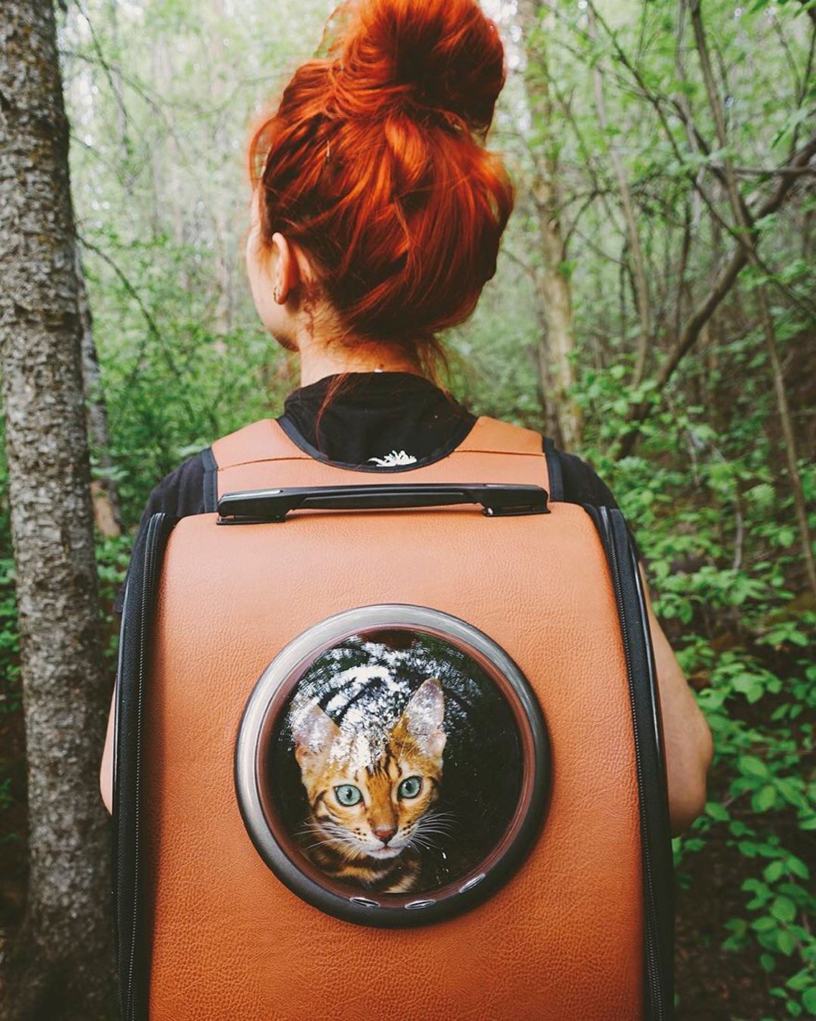 1600x2000, 628 Kb / девка, рыжая, кот, рюкзак, иллюминатор