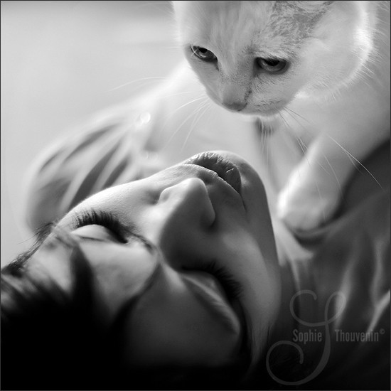 550x550, 42 Kb / кот, ч/б