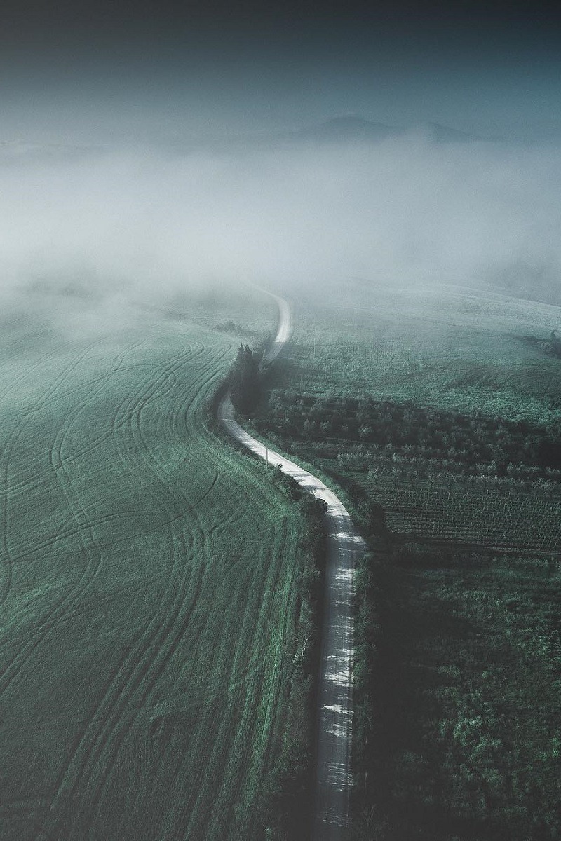 800x1200, 263 Kb / дорога, поле, туман