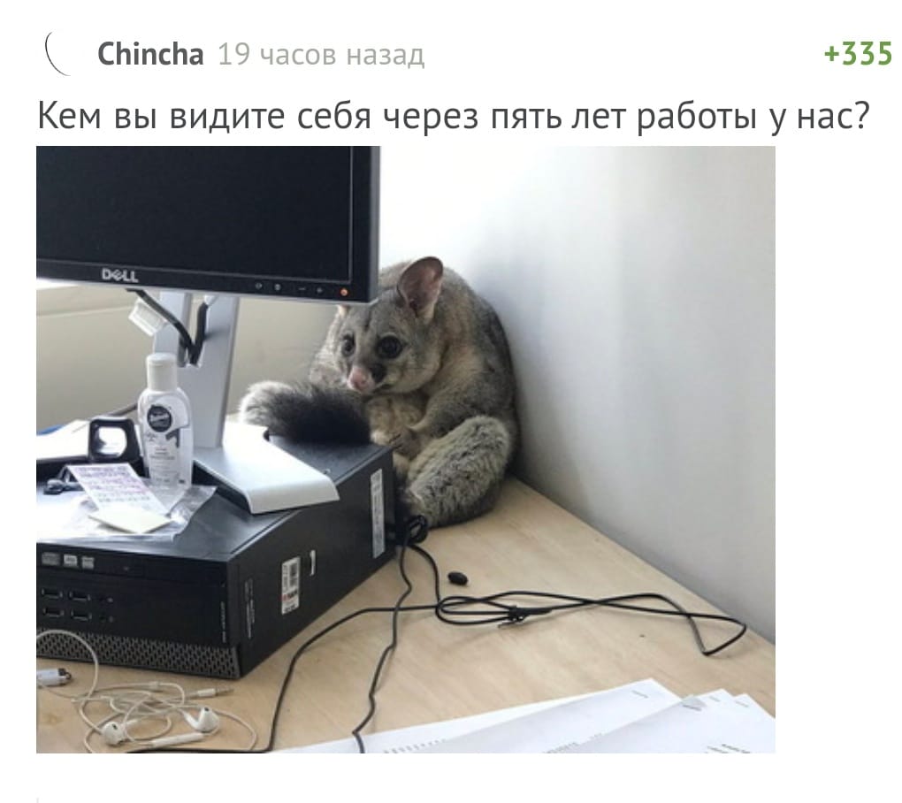 1020x908, 67 Kb / HR, устройство на работу, собеседование, компьютер, системник, монитор, стол, какашка