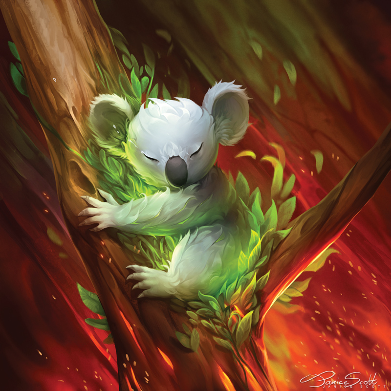 800x800, 338 Kb / Австралия, коала, краски, Jasqreate