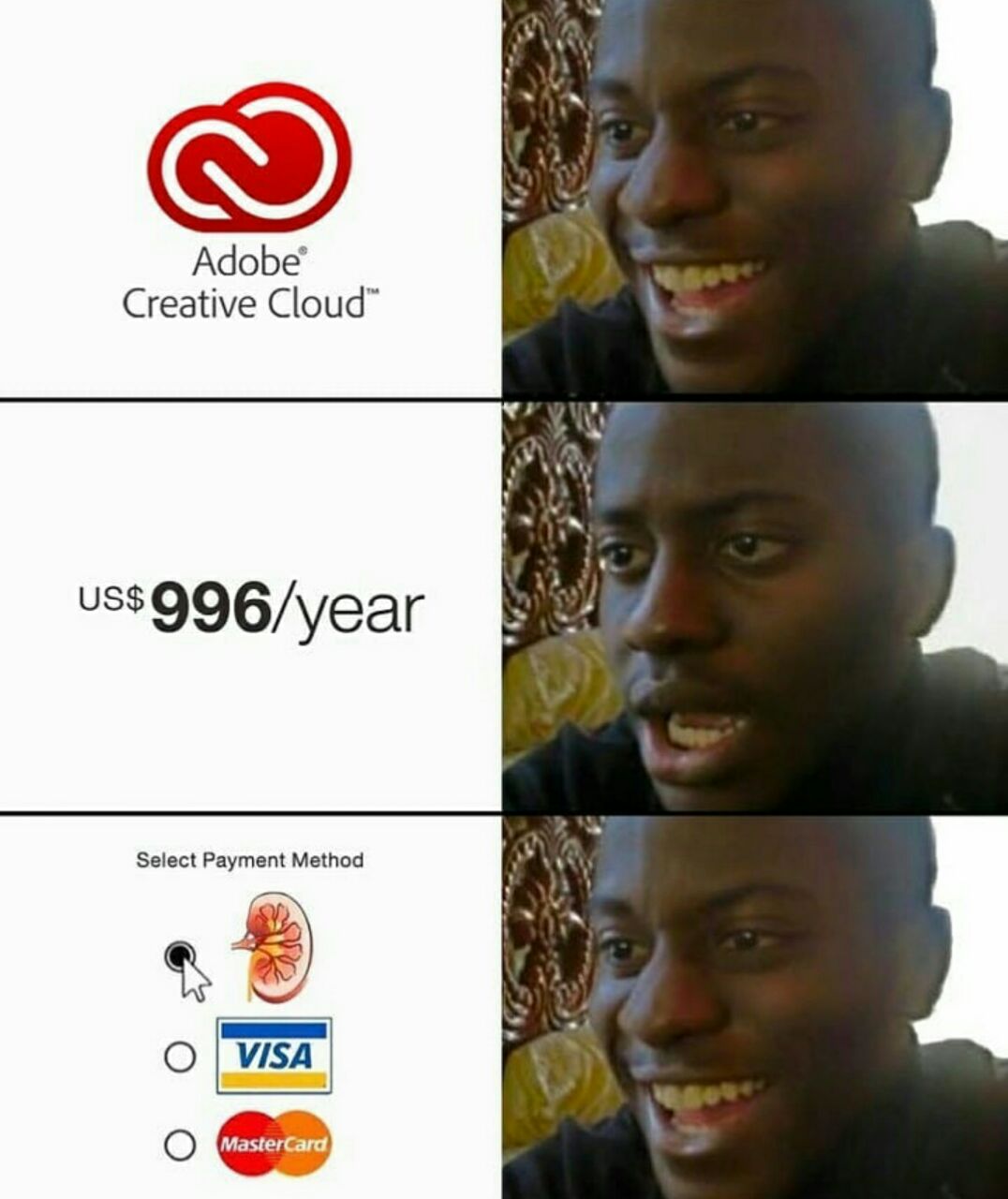 1076x1280, 100 Kb / Adobe, visa, почка, негр