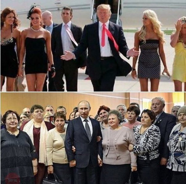 604x600, 77 Kb / трамп, путин, телки