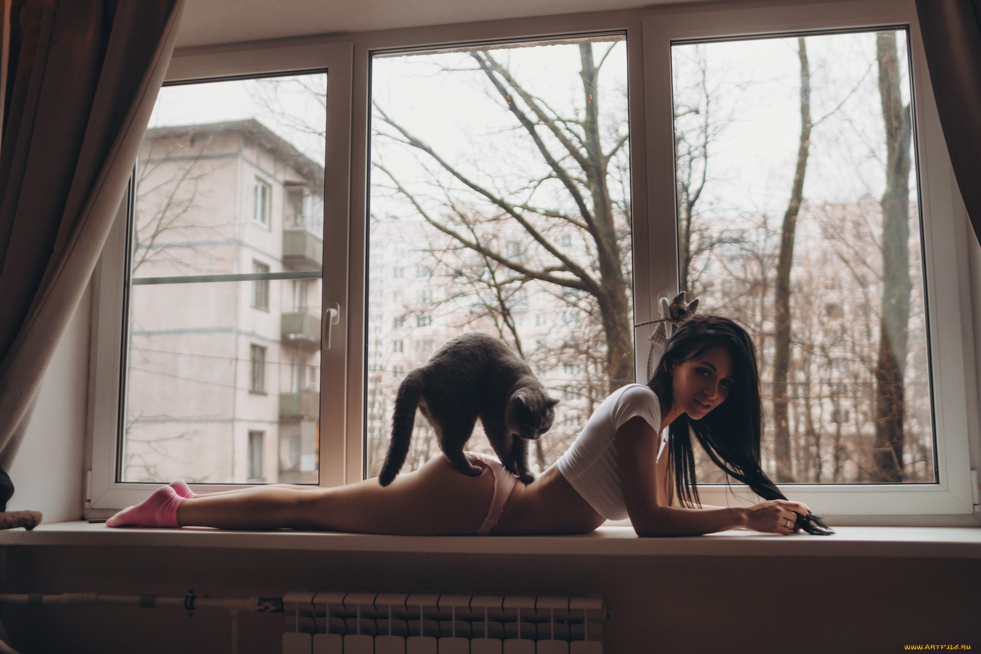 1920x1280, 597 Kb / окно, носки, трусы, майка, кот, кошка, подоконник, шторы, мягкая игрушка