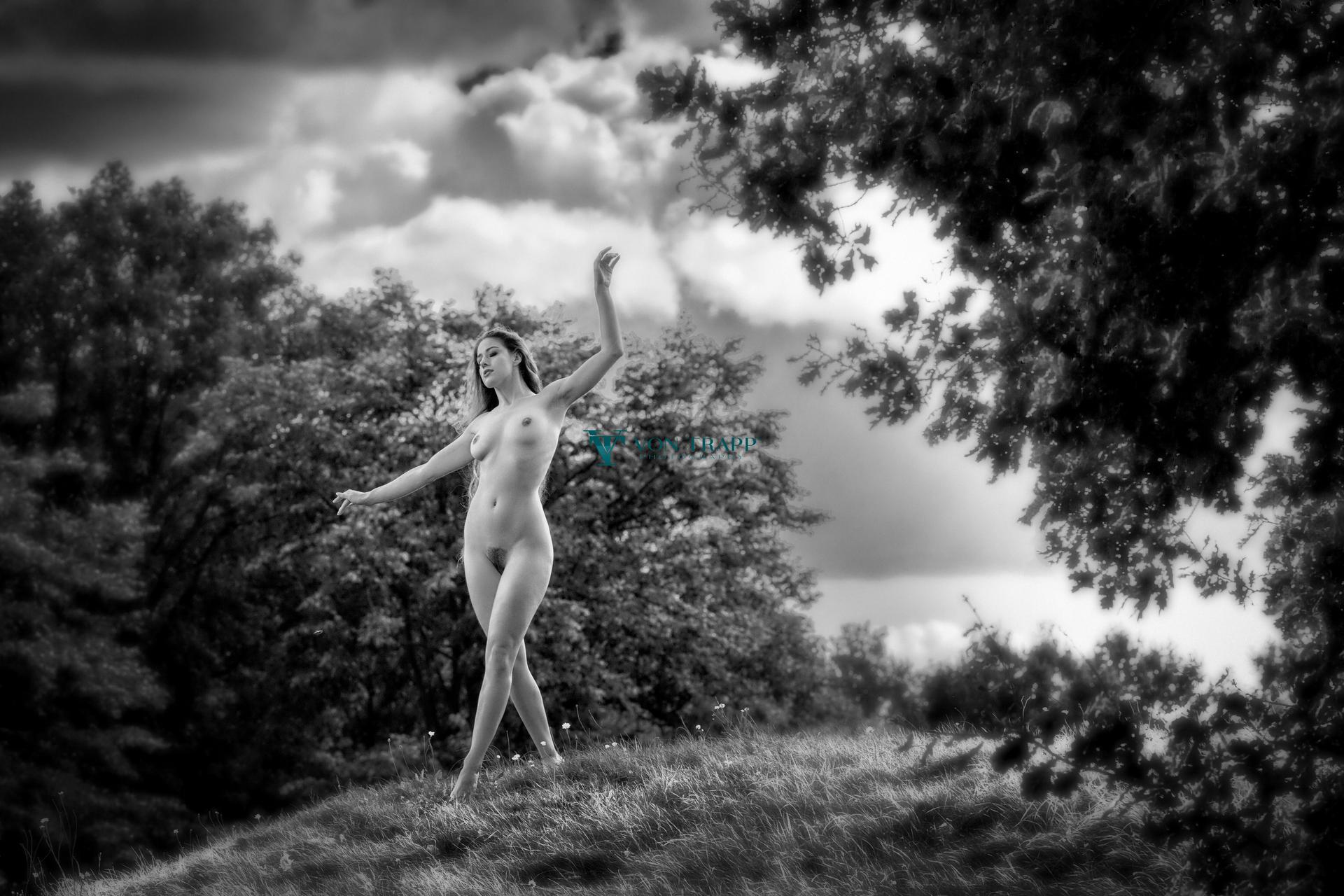 1920x1280, 280 Kb / сиськи, холм, деревья, ч/б