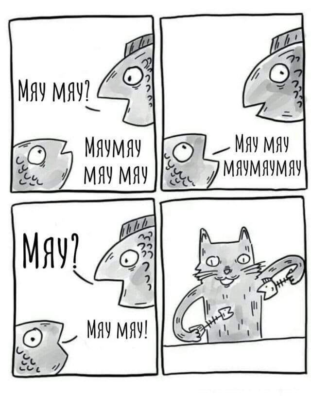 640x814, 46 Kb / Кот, кости, рыбы, мяу