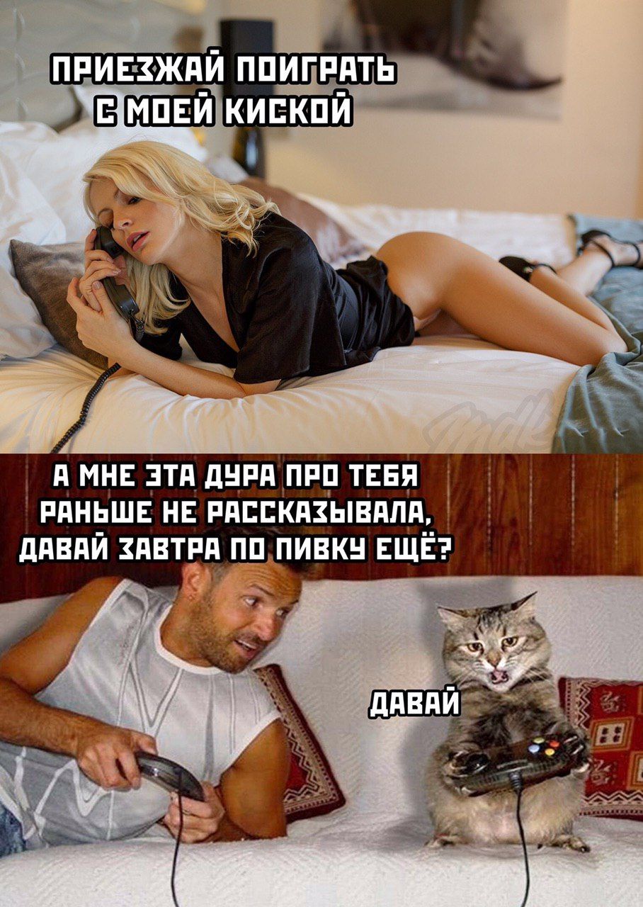 908x1280, 220 Kb / блондинка, приставка, киска, пивко