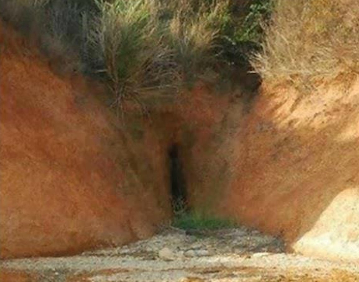 1155x907, 113 Kb / ущелье, растительность, трава